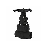 شیر کشویی کلاس 800 npt -sw