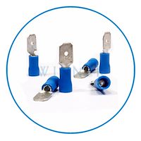 سرسیم کولری (نری و مادگی)