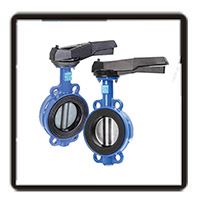 شیرالات پروانه ای