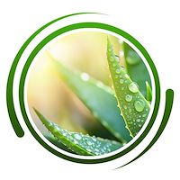 آلوئه ورای ایرانی