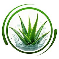 آلوئه ورای نژاددار