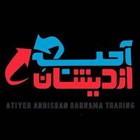 آسانسور آتیه اندیشان رهنما