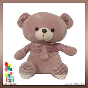 لوازم کادویی امید  عروسک پولیشی خرس بنفش روشن سایز ۵۰ کد CA0195