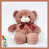 عروسک پولیشی خرس تدی گلبهی سایز ۵۵ کد CA0198
