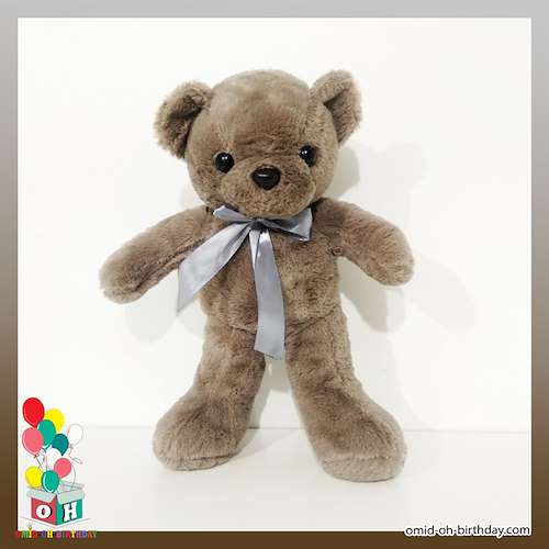 عروسک پولیشی خرس تدی طوسی سایز ۳۵ کد CA0206