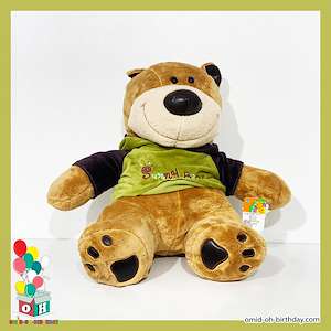 لوازم کادویی امید  عروسک پولیشی خرس تیشرت سبز سایز ۵۰ کد CA0210