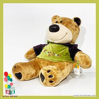 عروسک پولیشی خرس تیشرت سبز سایز ۴۰ کد CA0211