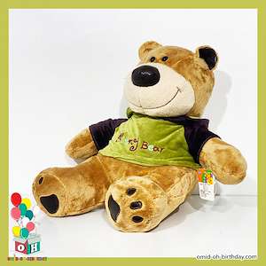 لوازم کادویی امید عروسک پولیشی خرس تیشرت سبز سایز ۴۰ کد CA0211