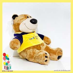 لوازم کادویی امید  عروسک پولیشی خرس تیشرت زرد سایز ۴۰ کد CA0213