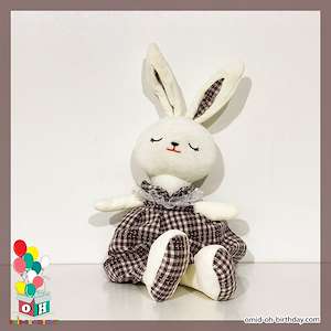  عروسک پولیشی خرگوش پیرهن قهوه ای سایز ۲۵ کد CA0292 لوازم کادویی امید