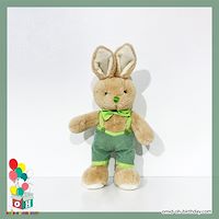  عروسک پولیشی آقا خرگوش سبز پوش سایز ۲۳ کد CA0293