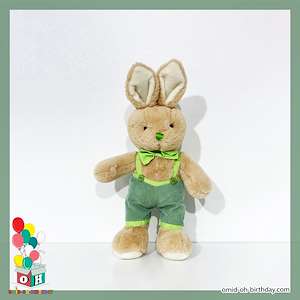 لوازم کادویی امید  عروسک پولیشی آقا خرگوش سبز پوش سایز ۲۳ کد CA0293
