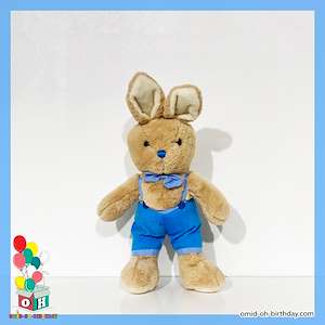 عروسک پولیشی آقا خرگوش آبی پوش سایز ۲۳ کد CA0295