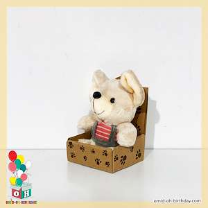 عروسک پولیشی موش جعبه ای کرم دوبنده پوش سایز ۱۵ کد CA0431 لوازم کادویی امید