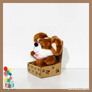 لوازم کادویی امید  عروسک پولیشی موش جعبه ای قهوه ای دستمال گردنی سایز ۱۵ کد CA0428