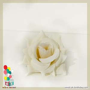لوازم کادویی امید  گل مصنوعی رز Rose هلندی سفید کد G0018