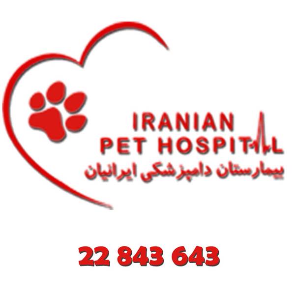 بیمارستان دامپزشکی ایرانیان‎ پین گذاری دست و پا حیوانات گربه و سگ