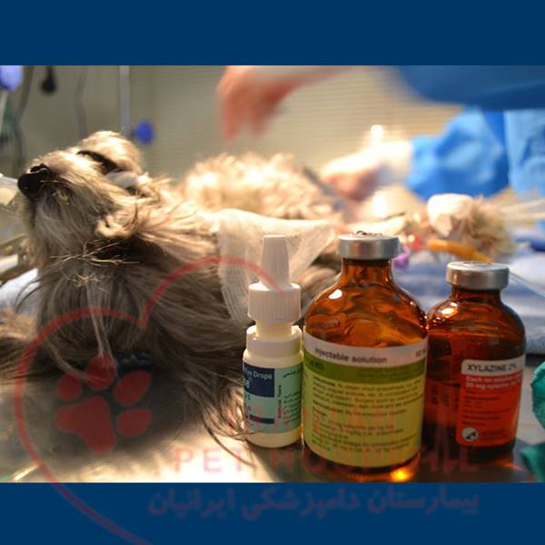 قرص ضد انگل حیوانات ( سگ ، گربه ) بیمارستان دامپزشکی ایرانیان‎