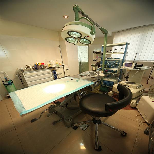 کلینیک دامپزشکی آبان‎ جراحی عقیم سازی گربه