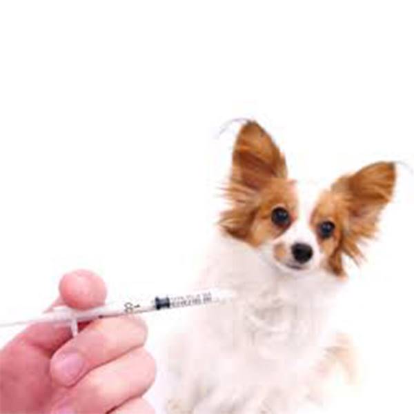 واکسن چندگانه سگ