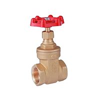 نماینده شیر  کیز ایران