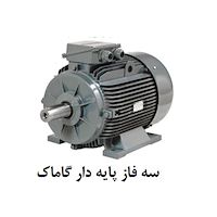 الکتروموتور گاماک  سه فاز پایه دار