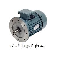 الکتروموتور گاماک  سه فاز فلنچ دار گاماک