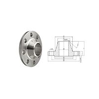 فلنج گلودار 18 اینچ pn-16