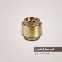 شیر یکطرفه فنری دی ان DN-30L