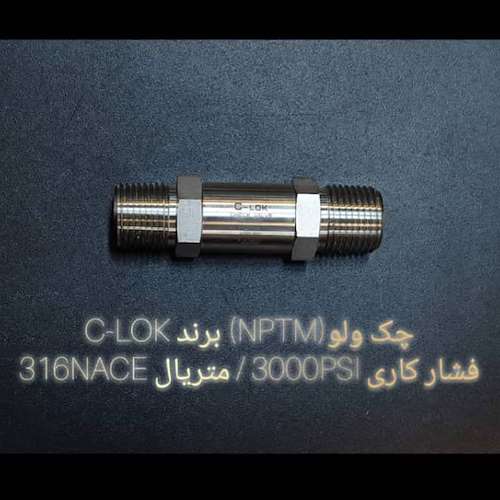 چک ولو NPTM فشار کاری 3000 316