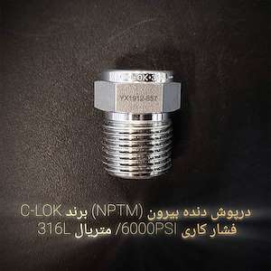 تهران صنعت پاسارگاد درپوش دنده بیرون (NPTM) برند C-LOK