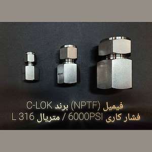 تهران صنعت پاسارگاد فیمیل (NPTF) برند C-LOK