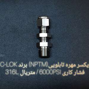 تهران صنعت پاسارگاد یکسر مهره تابلویی (NPTM) برند C-LOK