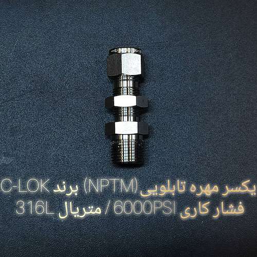 یکسر مهره تابلویی (NPTM) برند C-LOK