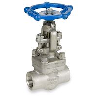 شیر سوزنی اروپایی