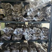 سه راهی استیل مواد غذایی