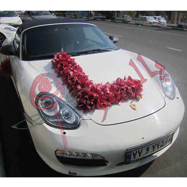 تزیین ماشین عروس در مدل مختلف سوپر گل پاییزان  (پالرمو سابق ) 09128888673