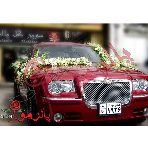سوپر گل پاییزان  (پالرمو سابق ) 09128888673 جالب ترین ماشین عروس