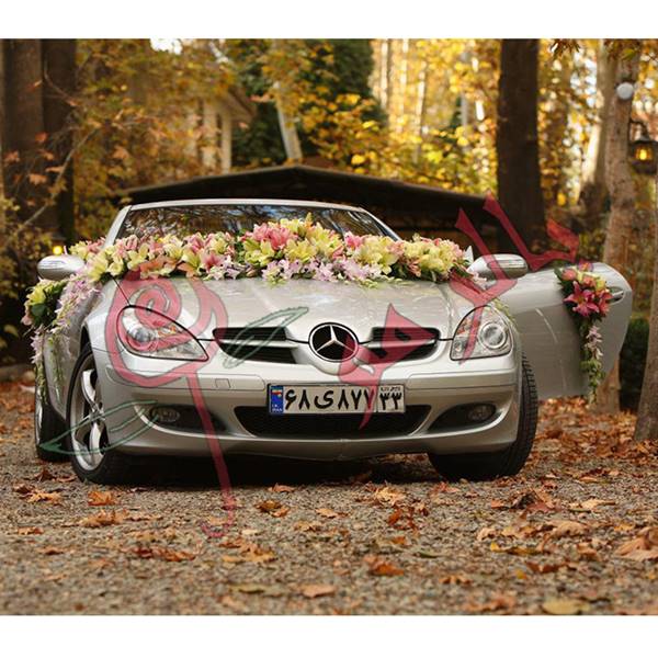 سوپر گل پاییزان  (پالرمو سابق ) 09128888673 مدلهای تزیین ماشین عروس