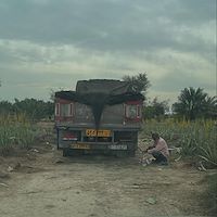 خرید آلوئه‌ ‌ورا عمده مناسب کارخانه