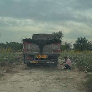 پرشیا آلوئه ورا خرید آلوئه‌ ‌ورا عمده مناسب کارخانه