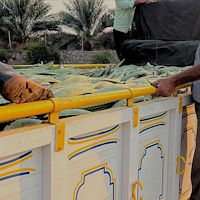 خرید آلوئه‌ ورا برای کارخانه