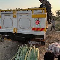 خرید آلوئه‌ ورا عمده بدون واسطه