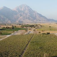 Persia Aloe Vera |مرجع آلوئه‌ ورای ایرانی