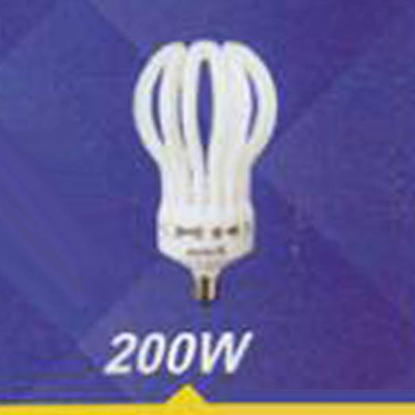 فانوس الکتریک لامپ کم مصرف اتحاد ۲۰۰w