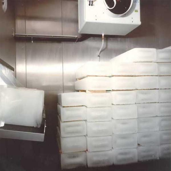 سرماسازان بهینه کارخانه یخ سازی قالبی