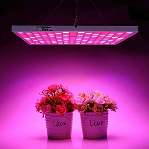الکترو پاد بورس انواع لامپ رشد گل