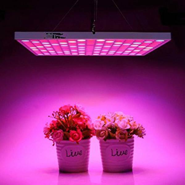 خرید لامپ رشد گل و گیاه