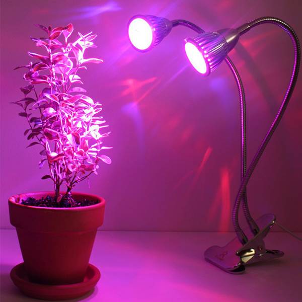 لامپ هالوژن رشد گل و گیاه