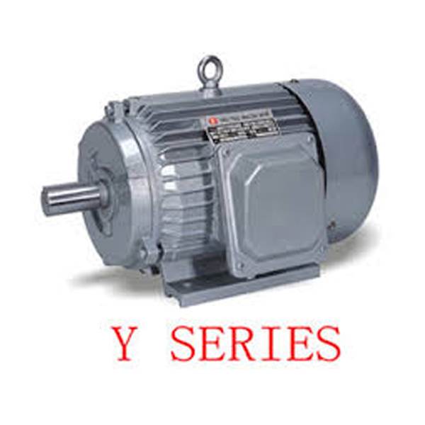 الکتروموتور استاندارد چینی LION توان موتور 33977611-021